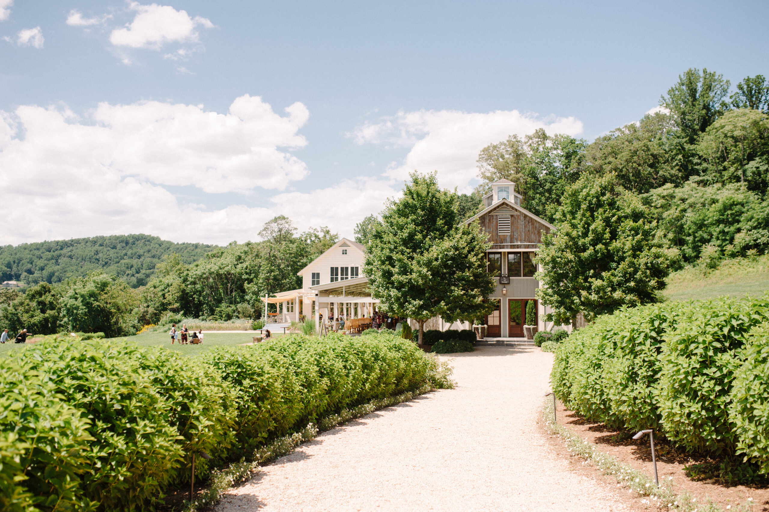 Pippin Hill exterior in the summer